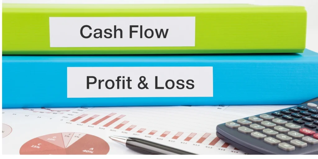 Project Cash Flow and Profit Margins